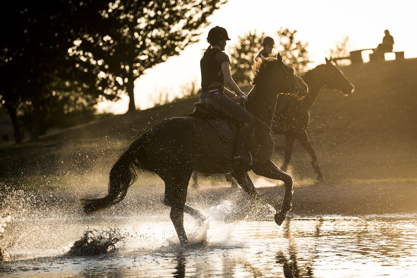 Pferde in Westfalen. Unterrichtsstunde im Vielseitigkeitsritt am Hof Schulze Niehues in Freckenhorst. Die Reitanlage verfügt über ein eigenes Vielseitigkeitsgelände mit unterschiedlichen Hindernissen, Wassergraben und Hügeln, auf der die Reitsportler trainieren können. Freckenhorst, September 2018.