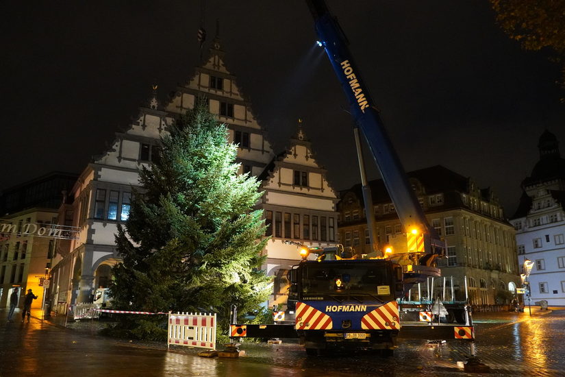 Große Tanne, die im Dunkeln vor dem Rathaus steht, noch ungeschmückt