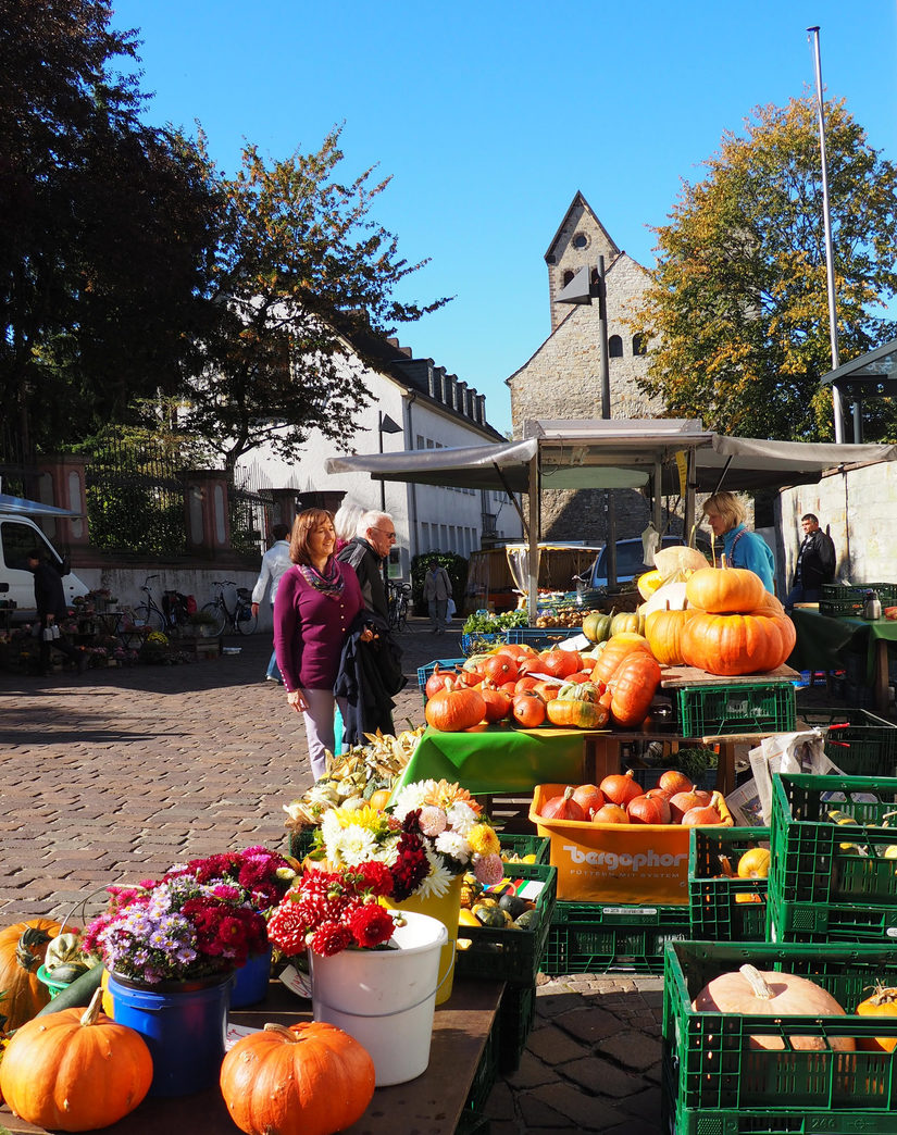 Farmer's Market