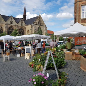 Fair Trade Rückblick - Palavermarkt