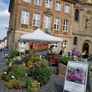 Fair Trade Rückblick - Palavermarkt