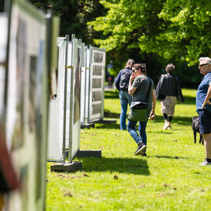 Ausstellung Cheezee in den Paderwiesen