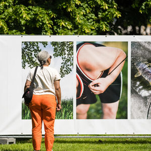 Ausstellung Cheezee in den Paderwiesen