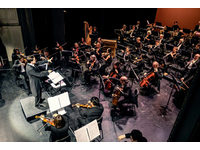 Bild des Symphonischen Orchesters des Landestheaters Detmold