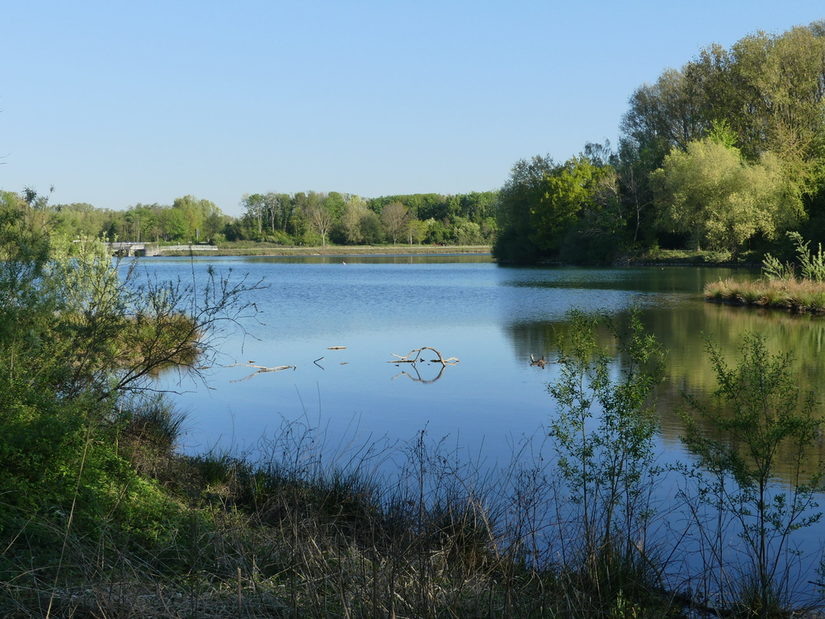 Blick auf den Padersee