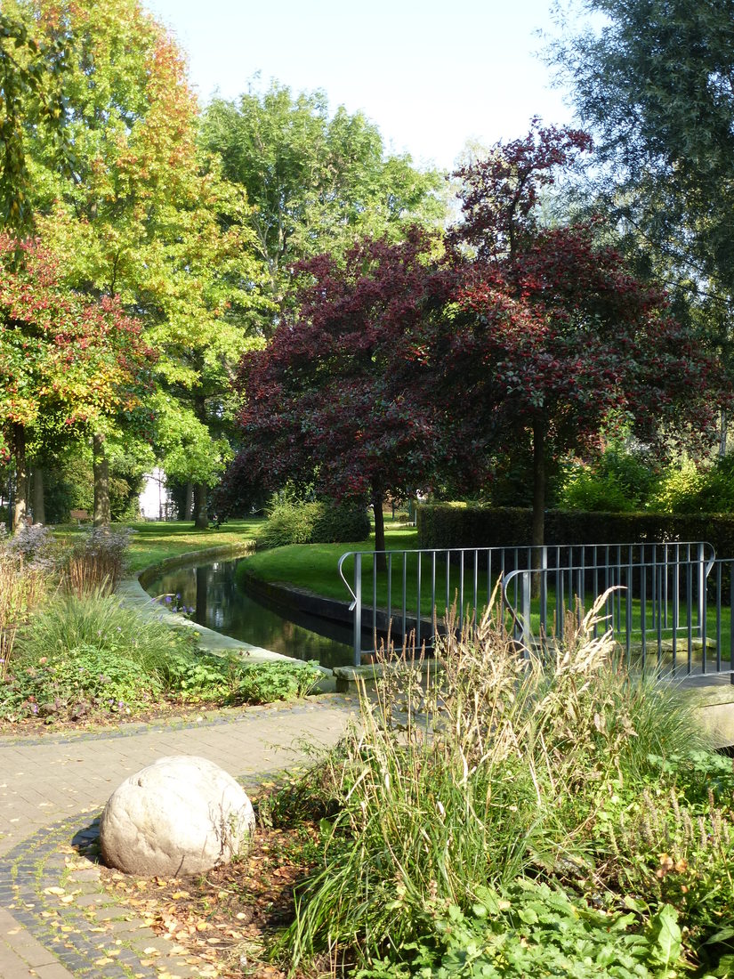 Bäume im Paderquellgebiet