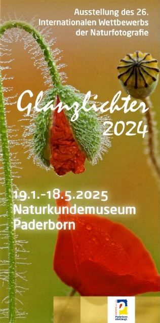 Logo Ausstellung